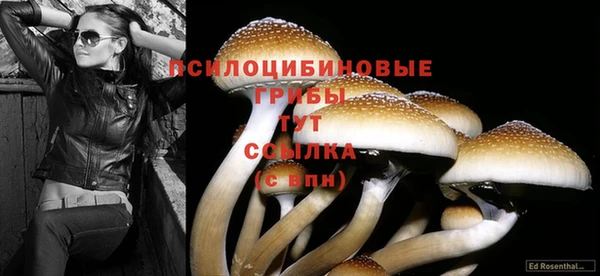 наркотики Надым